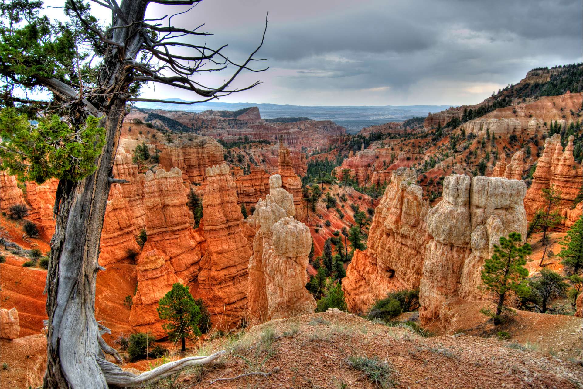 Point de vue à Bryce Canyon